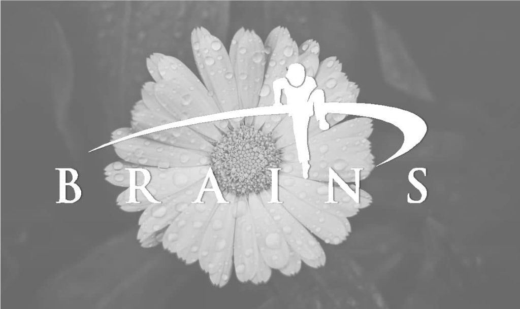 brains logo in white with grey flower background